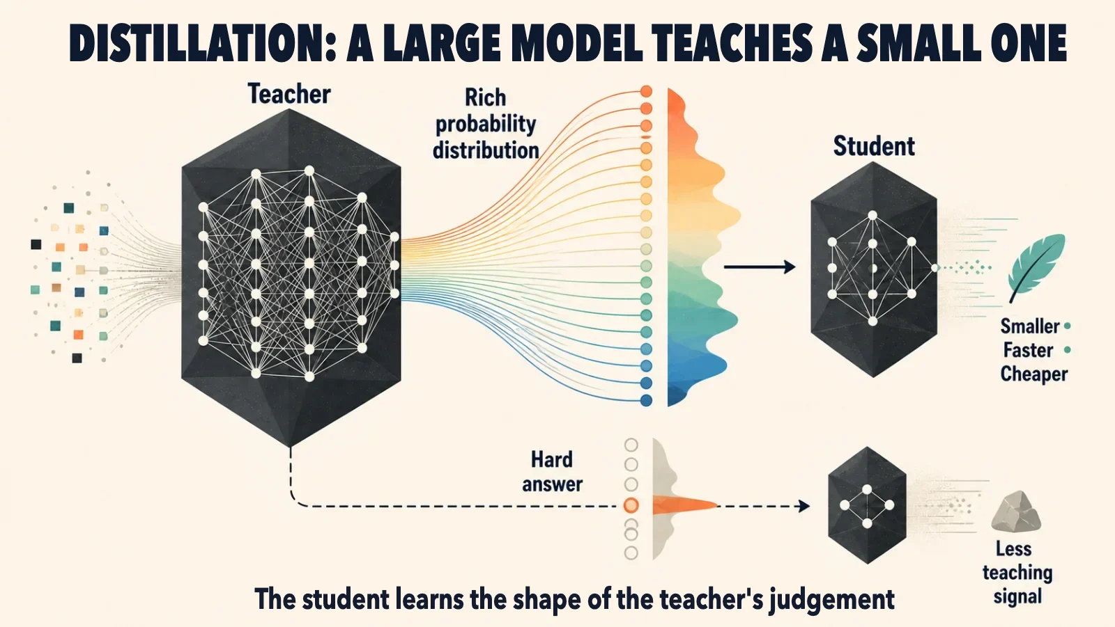 A large teacher model passes a rich spread of possible outputs to a compact student. Below, a single hard answer carries less information.